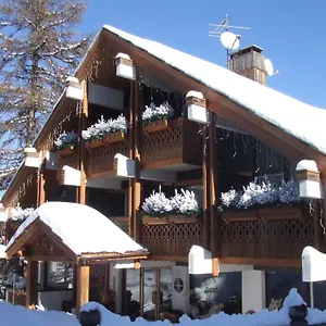 Ecureuil *** Vars (Hautes-Alpes)
